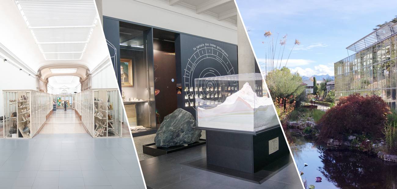 Muséum cantonal des sciences naturelles Jardins botaniques