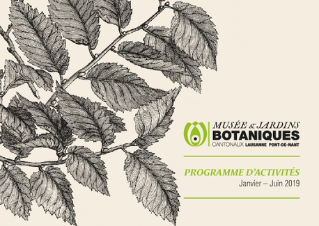 Programme d'activités 2019